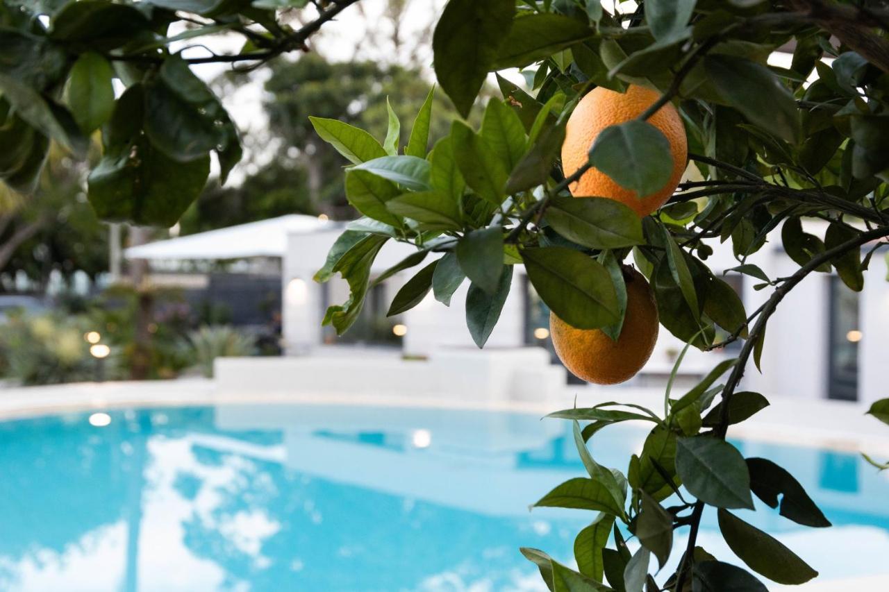 Villa Masetta - Luxury Suites Palermo Exterior photo